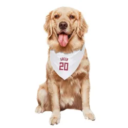 Milwaukee Bucks AJ Green White Red Pet Bandana for Dog & Cat