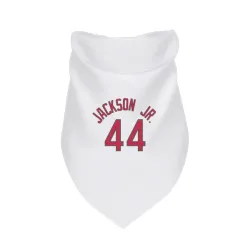 Milwaukee Bucks Andre Jackson Jr. White Red Pet Bandana for Dog & Cat